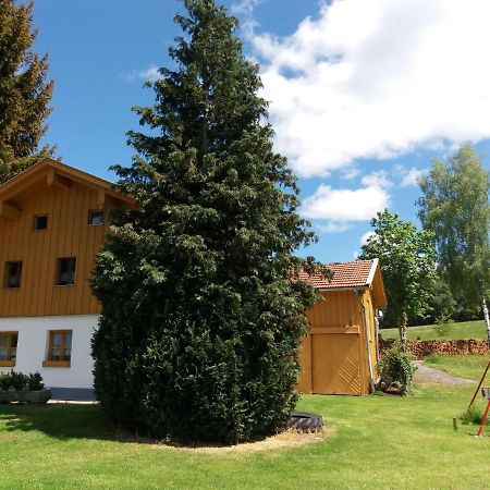 Lovely Holiday Home In Viechtach Near The Forest Zewnętrze zdjęcie