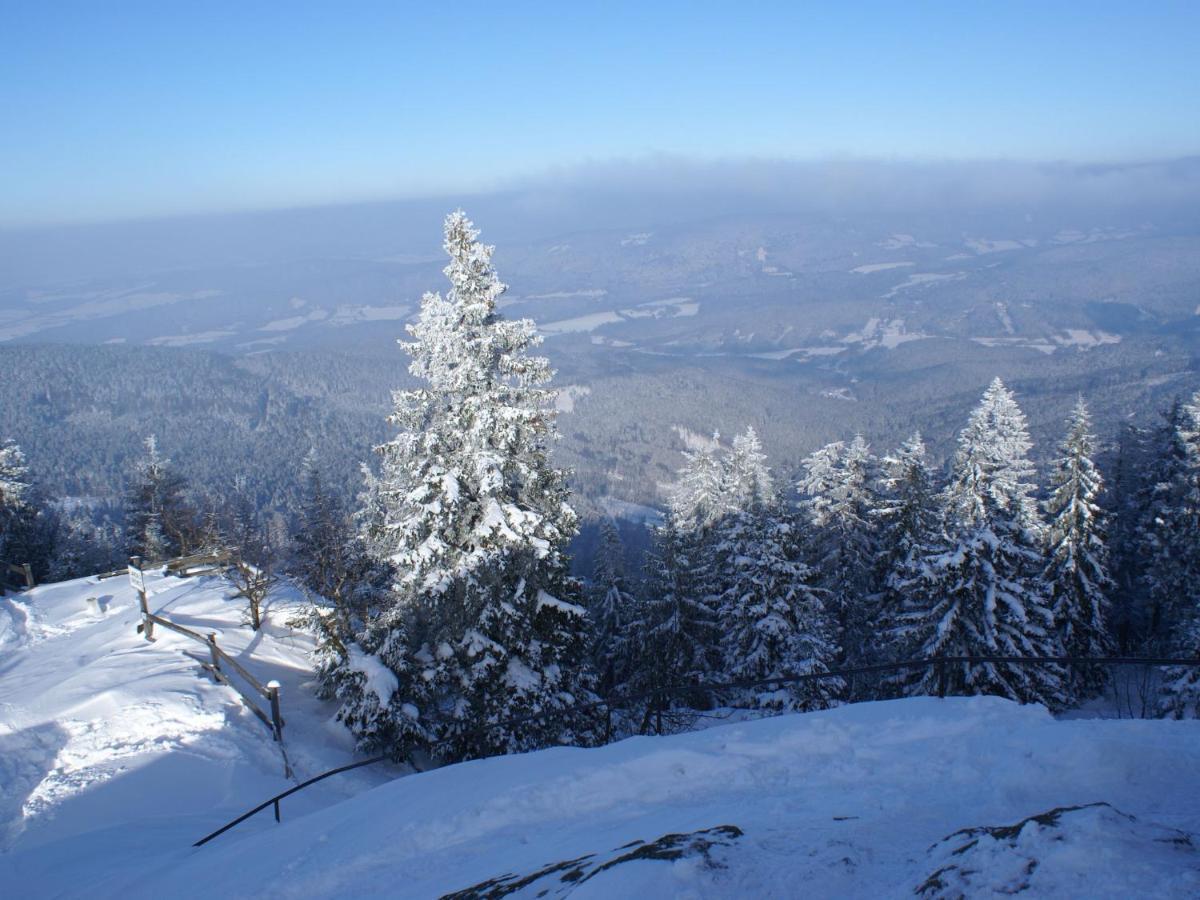 Lovely Holiday Home In Viechtach Near The Forest Zewnętrze zdjęcie